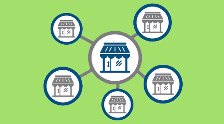 تعریف فرانشیز