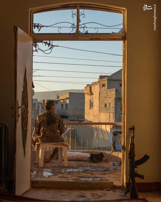 ماجرای ادعای حضور ایران در پشت مرزهای اسرائیل/سردار سلیمانی اراده کند فاصله تهران تا مرز اسرائیل را با خودروی خودش طی می کند