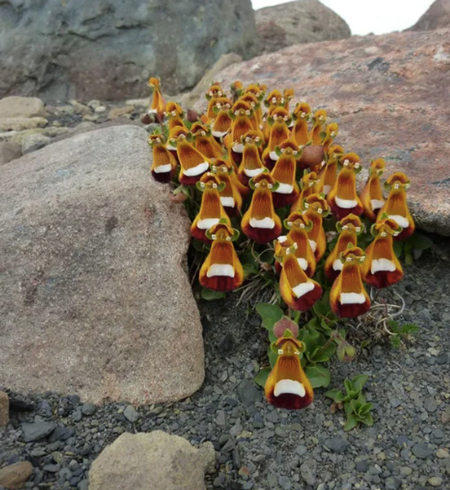 تصاویر جالبی که در نگاه اول شما را گول می زند