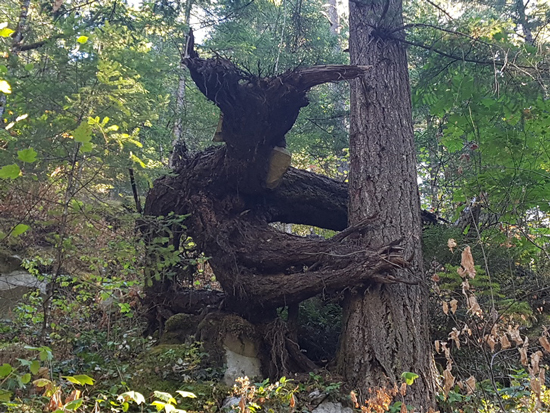 تصاویر جالبی که در نگاه اول شما را گول می زند