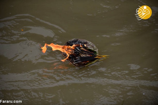 مراسم ویژه دختران مجرد برای پیدا کردن همسر!