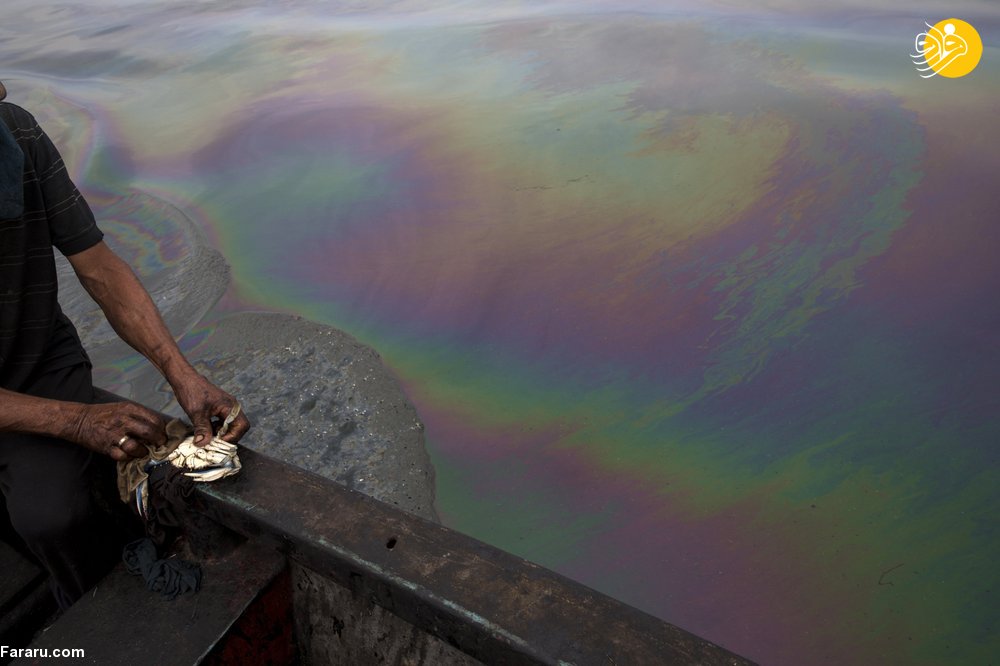 ماهیگیری در نفت، اینجا آخرالزمان است! + تصاویر