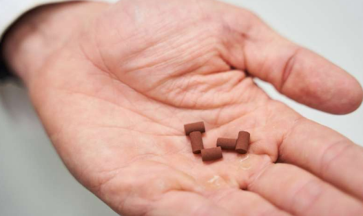 باکتری‌ها، اولین فضانوردان سیاره سرخ می‌شوند