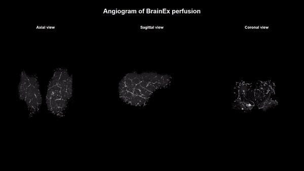 اخبار جهان علم در سال 2019