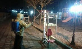 ضدعفونی کردن شهرها نبایید صدمه به درختان باشد/ درخت ها را دریابیم