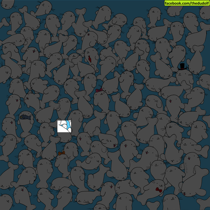 چند معمای تصویری که تیزبین‌ترین چشم‌ها هم قادر به حلشان نیست