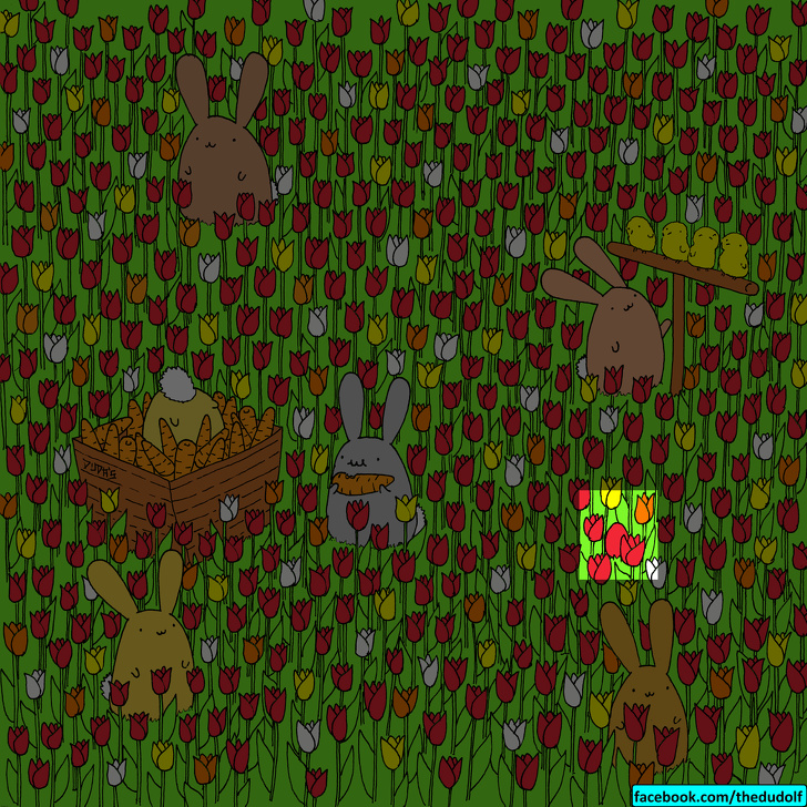 چند معمای تصویری که تیزبین‌ترین چشم‌ها هم قادر به حلشان نیست