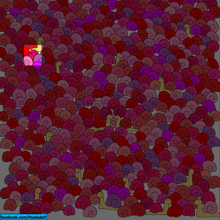 چند معمای تصویری که تیزبین‌ترین چشم‌ها هم قادر به حلشان نیست