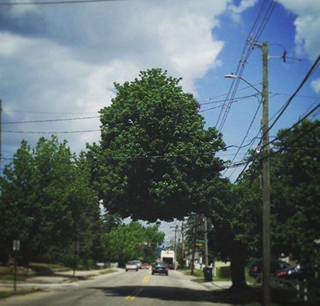 تصاویری که دیدن آن‌ها باعث می‌شود به قوانین فیزیک شک کنید!