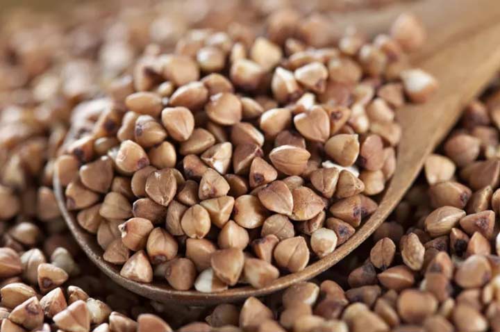 گندم سیاه و کلیه