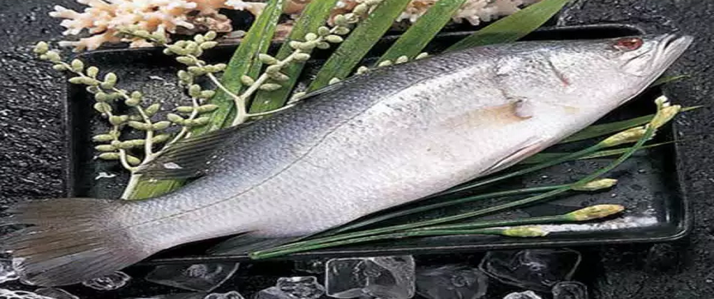 ماهی خاردار و کلیه