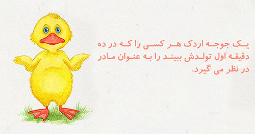 20 دانستنی خنده دار که واقعا حقیقت دارند