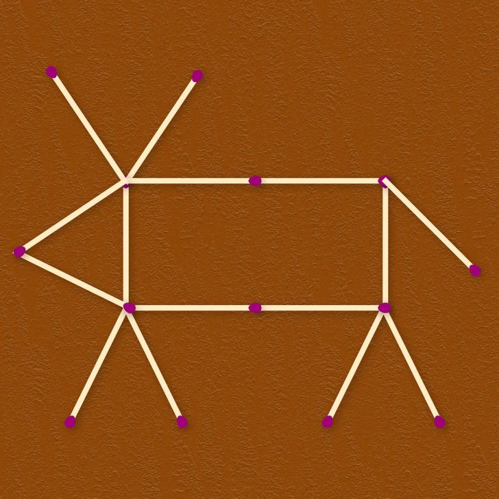 چند معمای تصویری جذاب برای سنجش هوش و قدرت استدلال شما