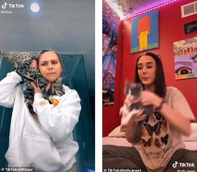 تلفن بازی با حیوانات خانگی؛ چالش جدید شبکه اجتماعی تیک تاک که با انتقاد روبه‌رو شد