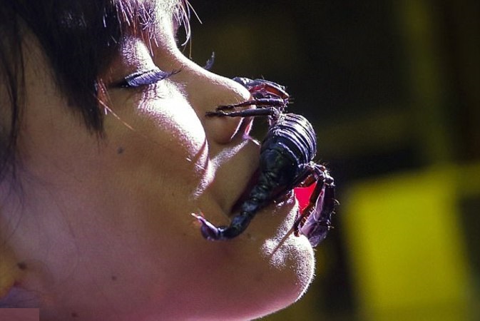 تصاویر وحشتناک از زنی که ملکه عقرب‌هاست