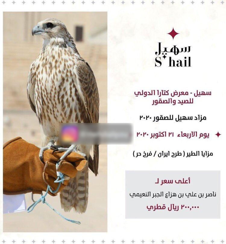 قطر