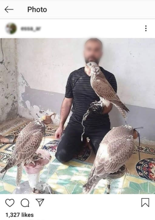 قطر