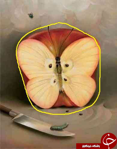 اولین چیزی که در تصویر می‌بینید ترس واقعی شما را نمایان خواهد کرد