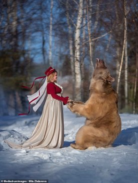 تصاویری دیدنی از خرسی که مدل شد