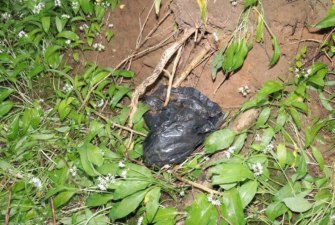 قتل وحشتناک دختر جوان 