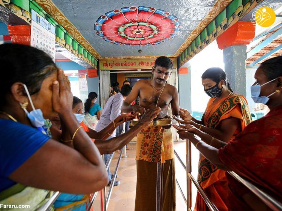 جشن پیروزی کامالا هریس در روستای آبا و اجدادی/ عکس