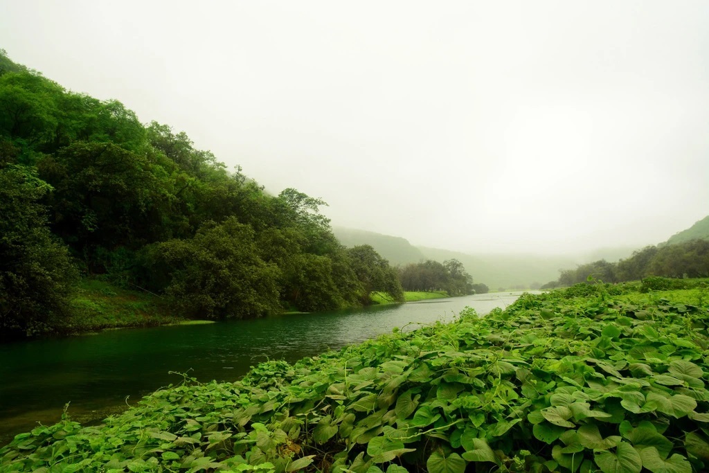 تصاویری که ثابت می‌کند عمان با زیبایی‌های طبیعی احاطه شده
