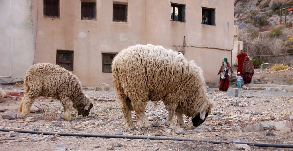 تصاویری که ثابت می‌کند عمان با زیبایی‌های طبیعی احاطه شده