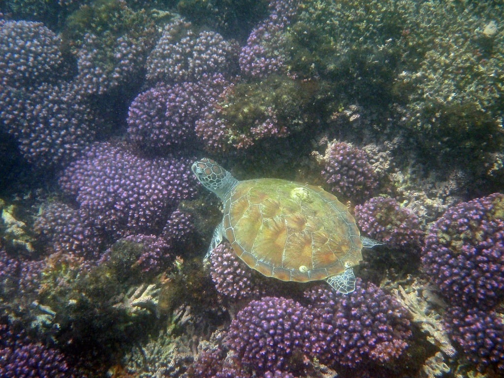 تصاویری که ثابت می‌کند عمان با زیبایی‌های طبیعی احاطه شده