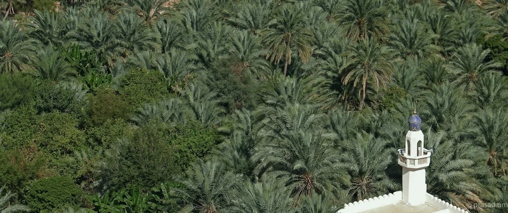 تصاویری که ثابت می‌کند عمان با زیبایی‌های طبیعی احاطه شده