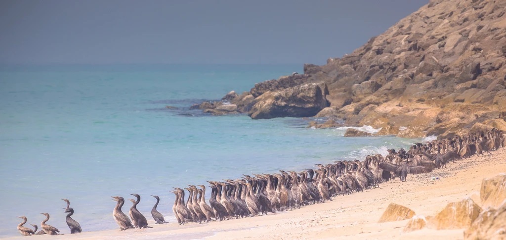 تصاویری که ثابت می‌کند عمان با زیبایی‌های طبیعی احاطه شده