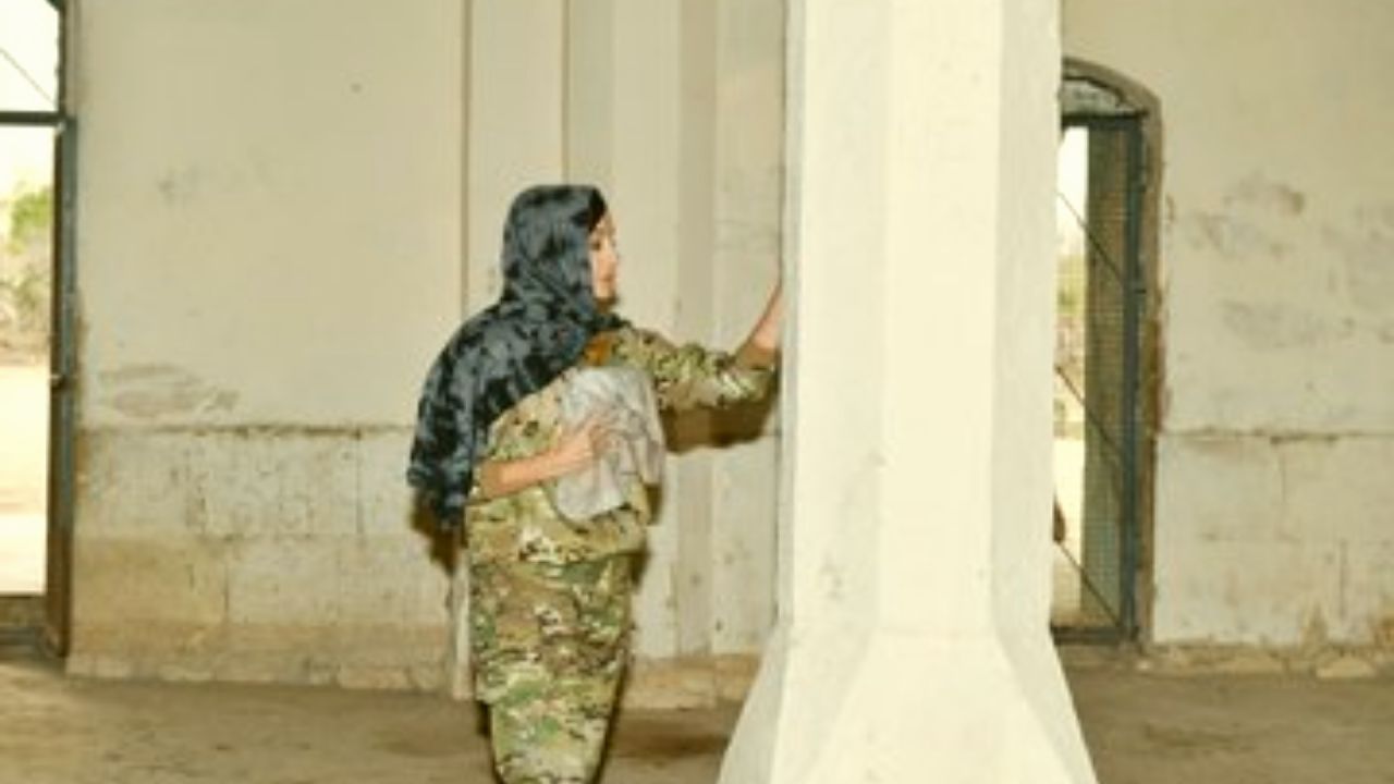 علی اف 3 علی اف 3