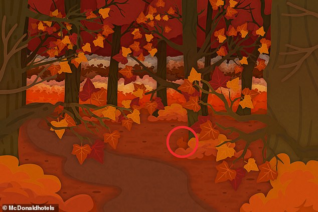 چند معمای تصویری سرگرم کننده برای آنهایی که چشمان تیزبینی دارند