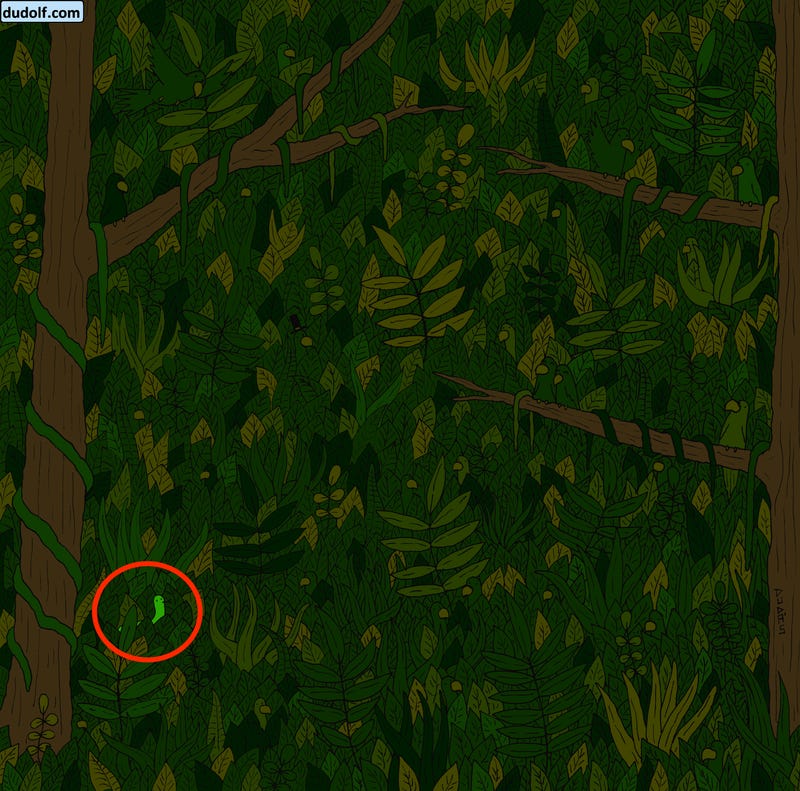 چند معمای تصویری سرگرم کننده برای آنهایی که چشمان تیزبینی دارند