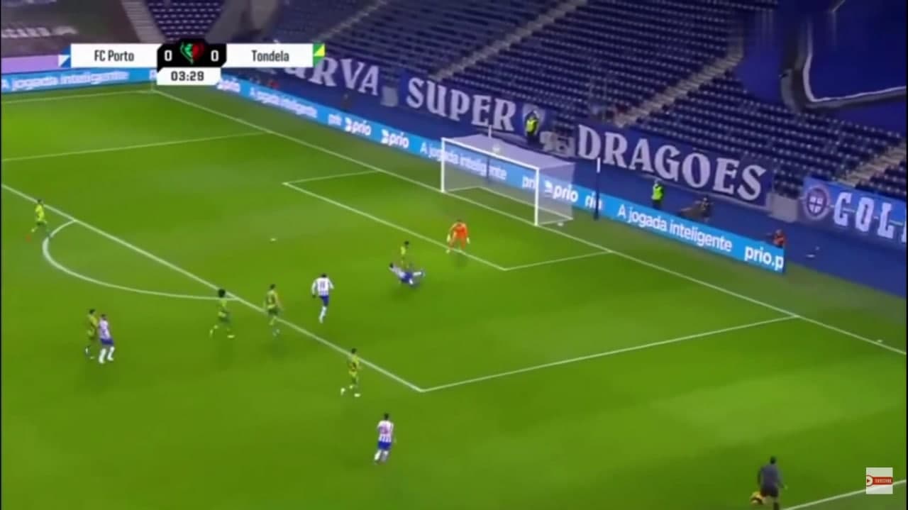 کپی تمیز طارمی از گل تاریخی فان باستن/ عکس