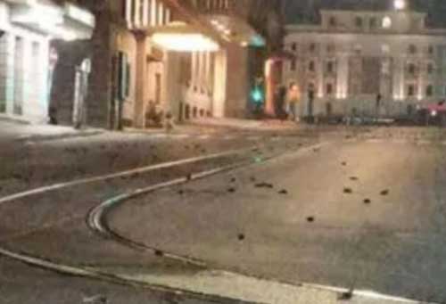 آتش‌بازی سال نو ، جان صد‌ها پرنده در رم را گرفت
