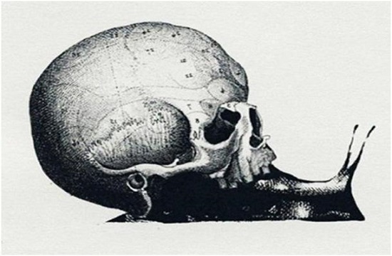 این تست شخصیت نشان می‌دهد که در چه مسیر شغلی گام بردارید