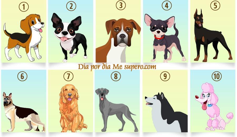 تست روانشناسی جالب با نژاد سگ