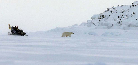 تصاویر منتخب حیات وحش در یک هفته