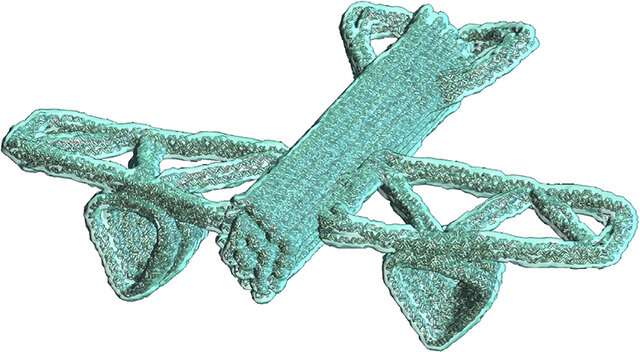 طراحی نانوربات "دی.ان.ای" با نرم‌افزار محققان دانشگاه اوهایو