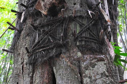عجیب‌ترین قوانین در دفن نوزادان در شرق آسیا