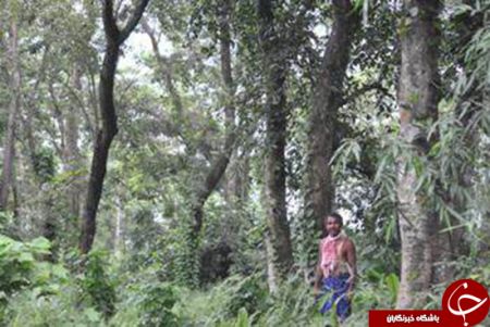 اخبار,اخبار گوناگون,مردهندی