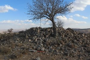 کشف دیوار ۲۰ کیلومتری هخامنشی در پاسارگاد