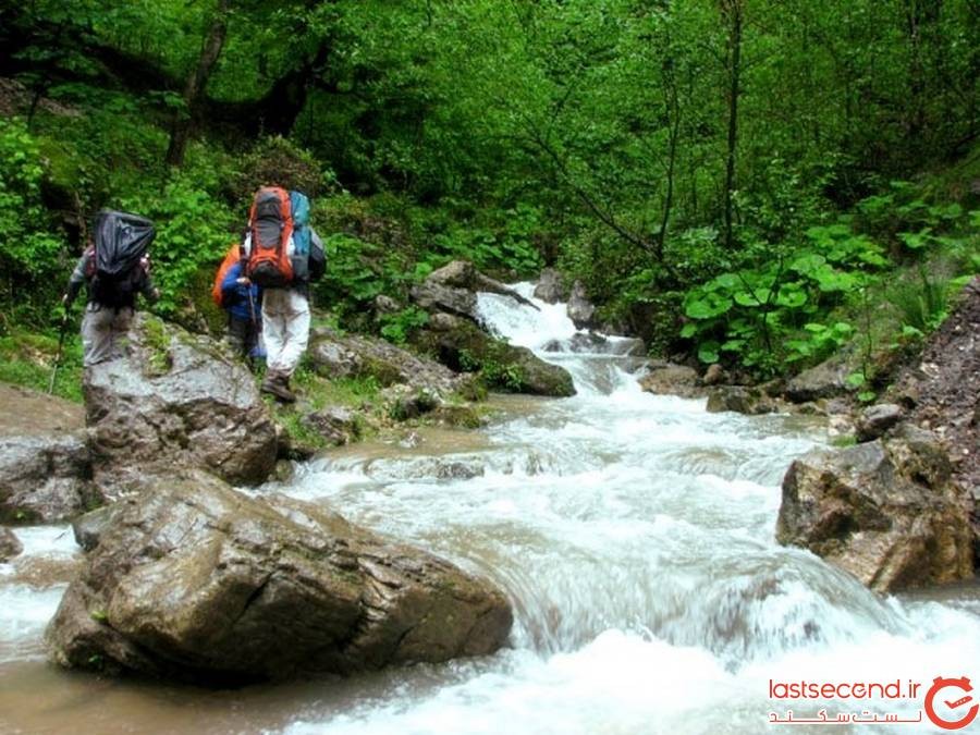 جنگل الیمستان آمل