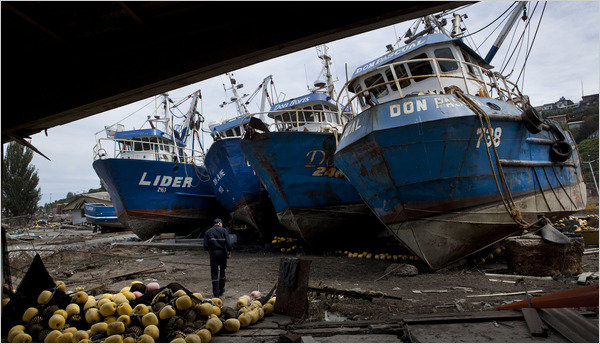 رکورددار زلزله در آمریکای جنوبی چه برنامه‌هایی دارد؟