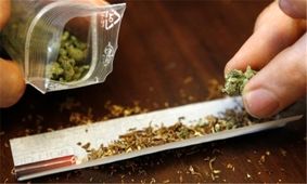 چه کسی می‌گوید یکبار مصرف گل اعتیادآور نیست؟/ ویدئو