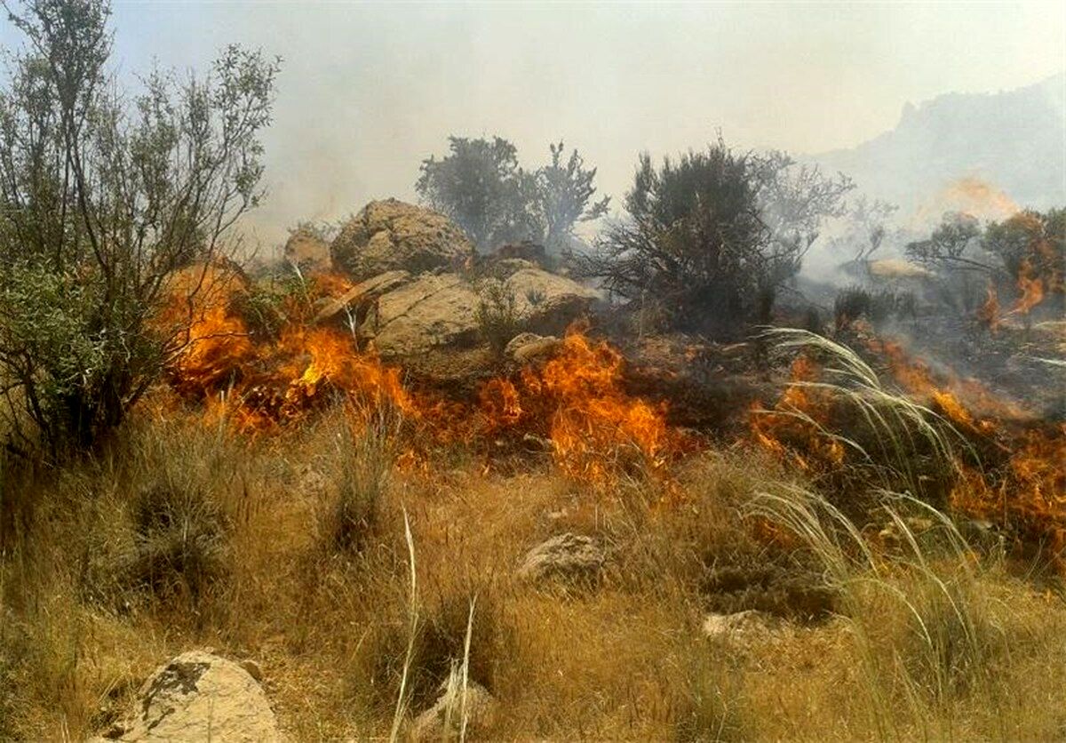 جنگل‌های پلدختر بعد از سه روز همچنان می‌سوزند