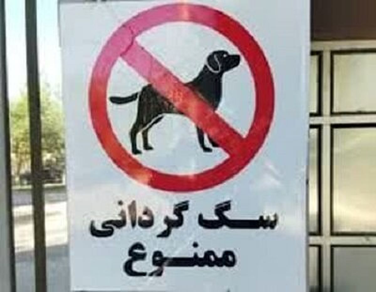 پلمب مهد سگ‌ در تبریز