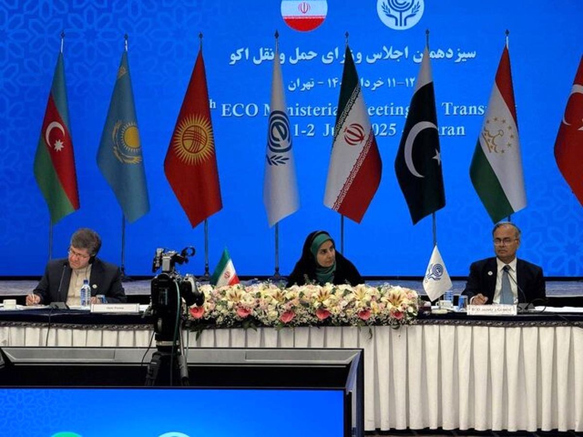 برق سیزدهمین اجلاس اکو در تهران در حضور مهمانان خارجی رفت/ ویدئو

