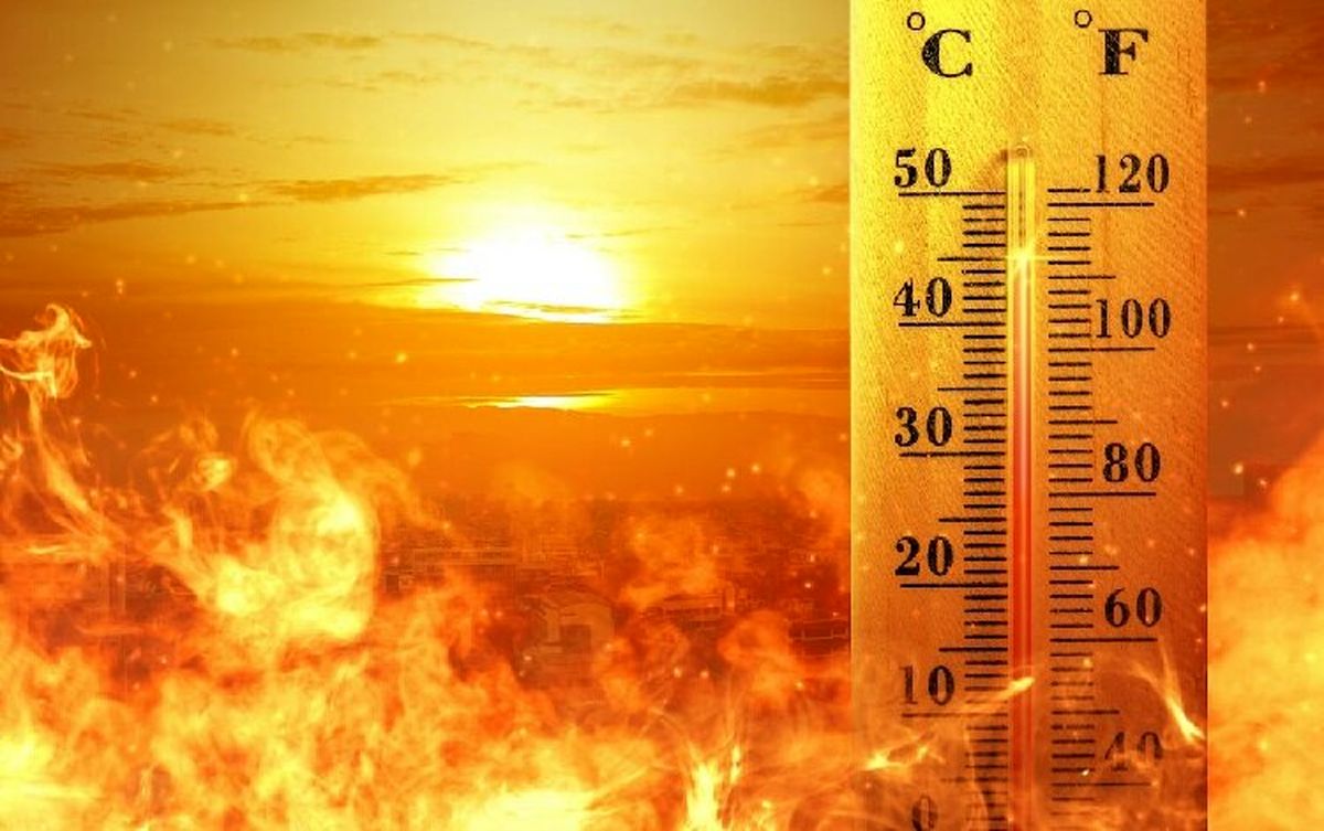 پخت تخم‌مرغ در گرمای اقلیم کردستان/ ویدئو