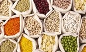 تغییر عجیب قیمت حبوبات در دی ۱۴۰۴/ قیمت لوبیاچیتی به مرز ۶۰۰ هزار تومان رسید